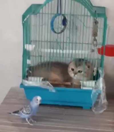 He just took the house away.