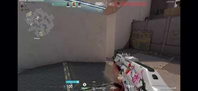 Ace with Reyna shockwaygaming on twitch