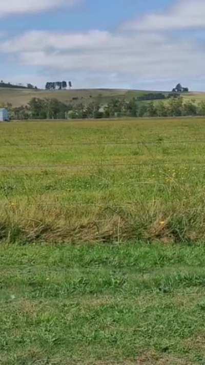 Florence likes to zoom