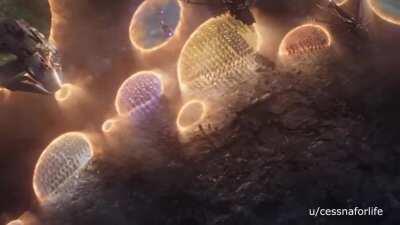 Renault's protest fight after this weekend.