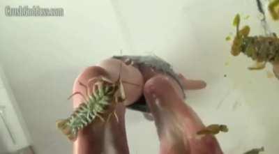 Not sure if this has been posted here or not, but enjoy. 