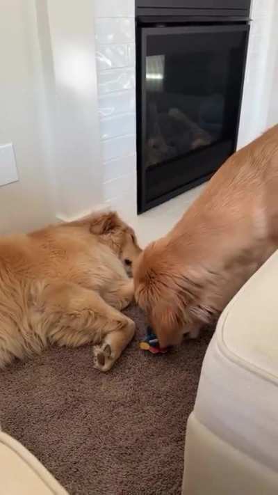 mission accomplished 😎