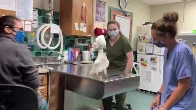 David had always been good with the ladies. His wife, Ashley, was furious to learn only days after the divorce David was in the club ripping up the dance floor. Too late Ashley, you lost.