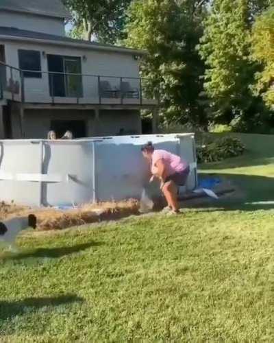 Enough pool-time for today...