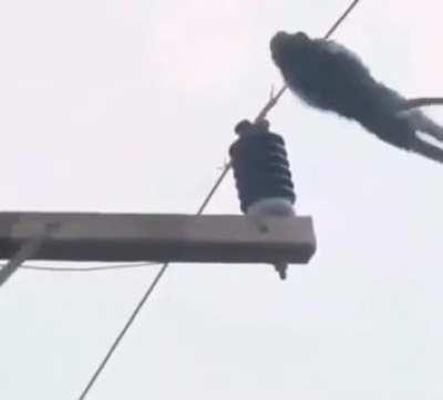 u_imavinyl - Video #1349