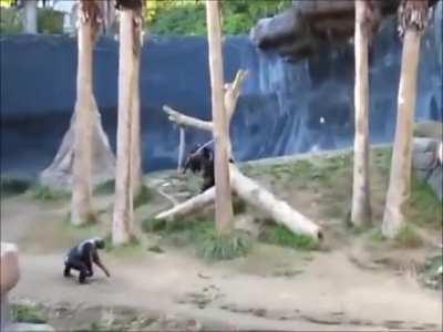 Reglare de conturi intre corduneni si spoitori