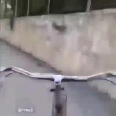 most calm cycle ride in Asia