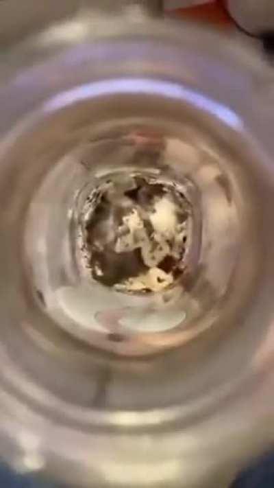 Roblox streamer cleans their room. 🤢🤮