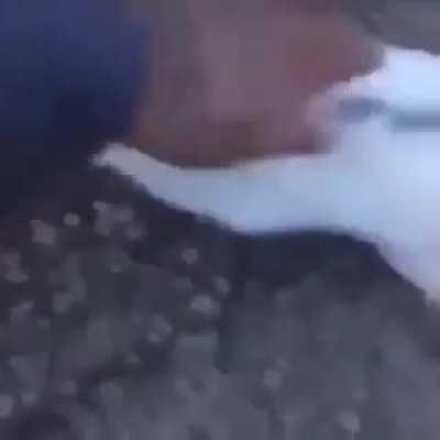 never let me go jacques