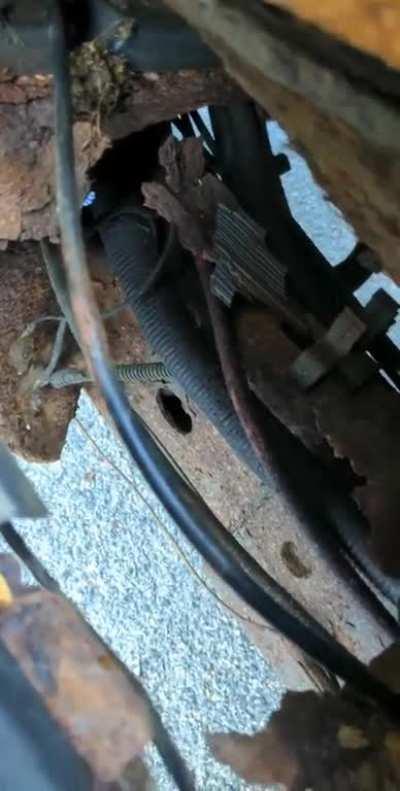 Guess What It's In For (Not the floor)