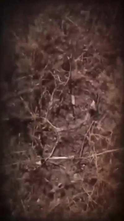 How smart and brave…