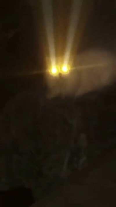 tá meio escuro, pegue uma lanterna