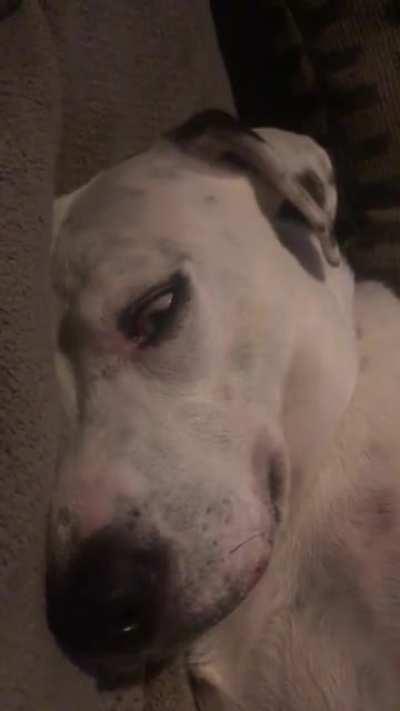 Don’t even F***k with me.....