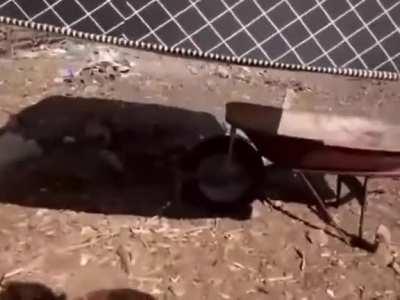 Alguém liga pro Nilton