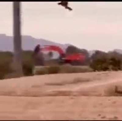 Rabbit does a cobra on eagle