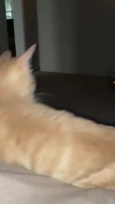 Napped his way to the edge