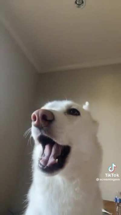 Why do some guys talk like this