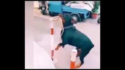 are we still posting old memes?