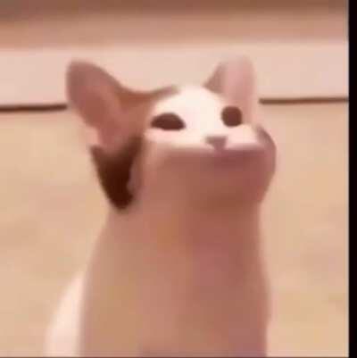 But of a continuation of my last post. How I feel when I sing that one part in The Ruler of Everything: