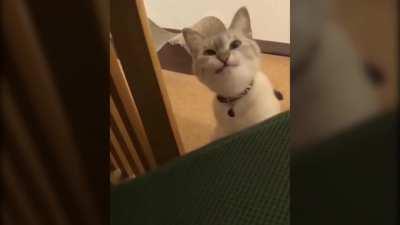 I can't stop watching this ಥ‿ಥ