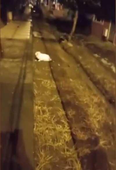 Can someone tell me what was that?