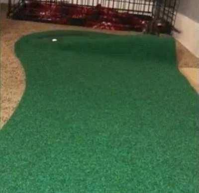 Now kitty is thinking with portals!