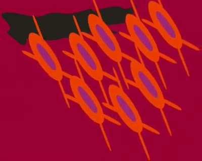 aprendendo sobre o sistema imunológico com a melhor animação do universo