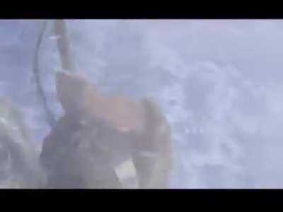 WoW Burning Crusade Midnight Launch in LA 2007