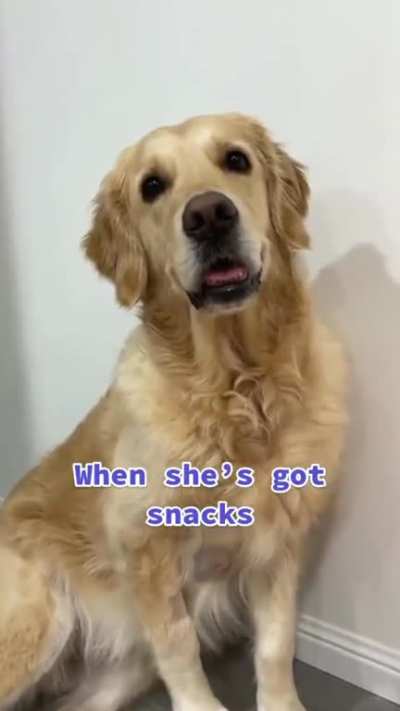 I really a good girl! 😜 which one of the 3 is your favourite?