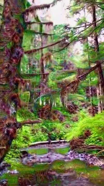 Taking a hike and the acid kicks in while Strawberry fields plays