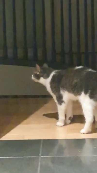 Imagine waking up to this sound everyday at 5 am.