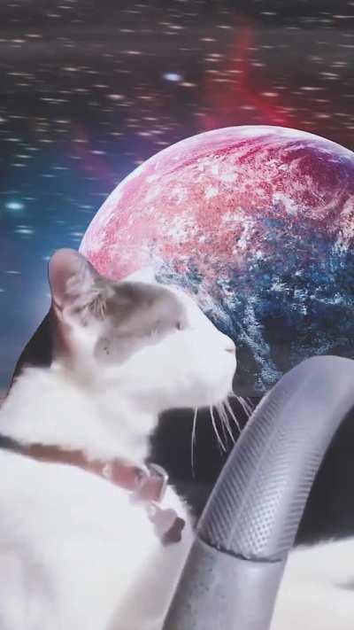 Me af, looking for a place to sell my wares (i am a lost khajiit)