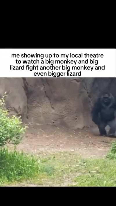 Tbh GXK in a nutshell...