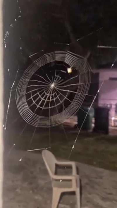 Проектировщик экстра класса