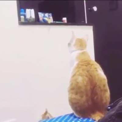 Sometimes we just need a little help, so we should ask someone we trust