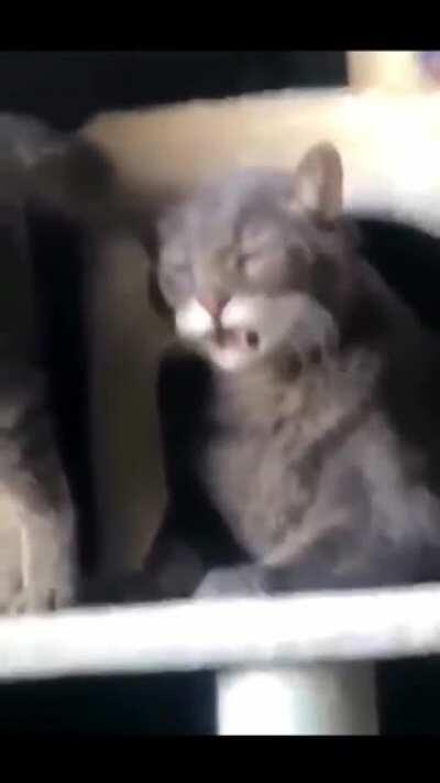 Smells like fish in there