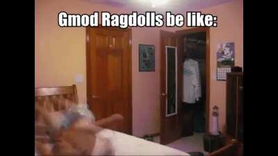 Ragdolls