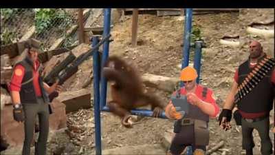 TF2 Mercs Save Little Monke