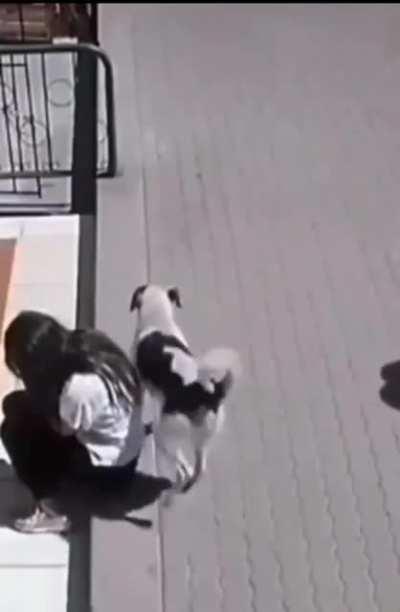 Плохой мальчик