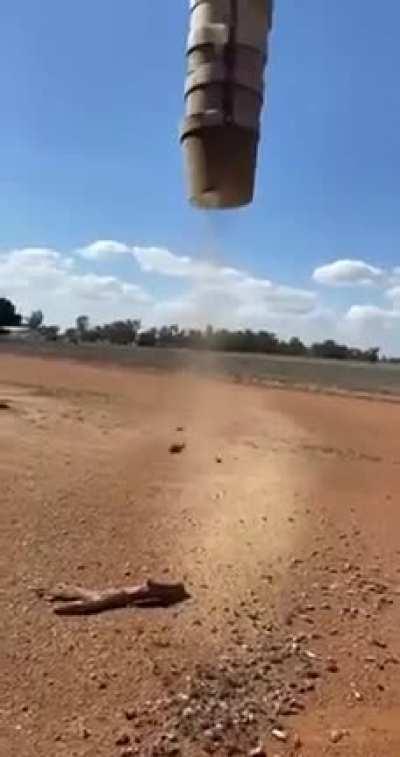 澳大利亚爆发鼠灾，农民清理谷仓时成群老鼠“从天而降”