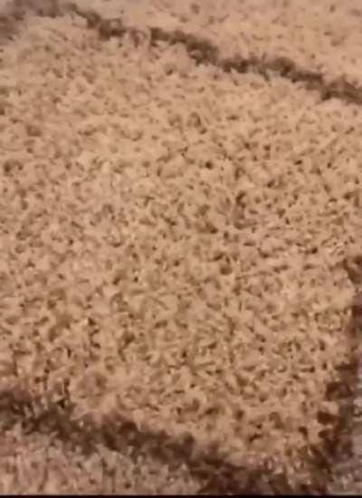 I somehow wasn't expecting that