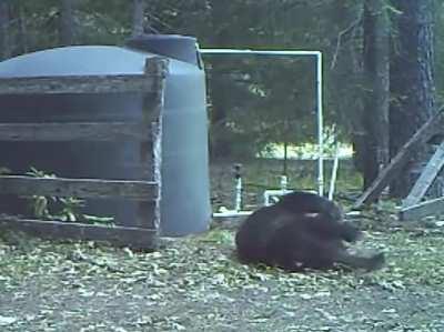 That's gotta hurt...