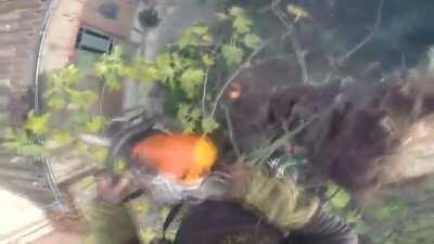 To trim a palm Tree.