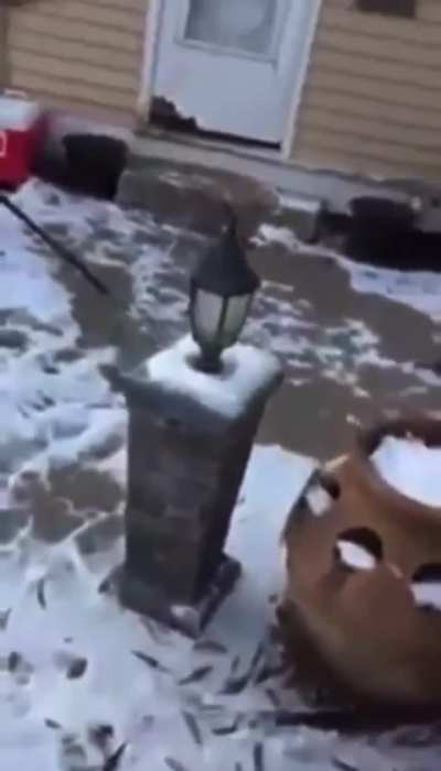 A friendly knockout on Christmas Eve