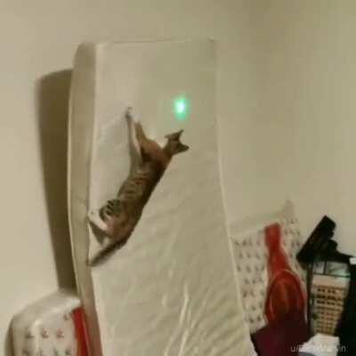 Nós sabemos q o Foxt n chegou nessa parte mas... XISAAAAAAA😔✊