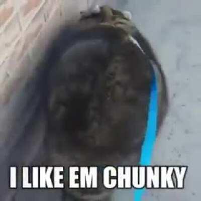 Hopefully no one has posted this yet