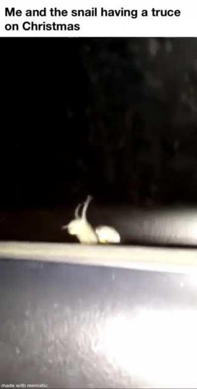 There’s always time for a break