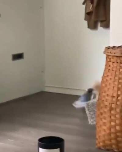 Is this how you handle your bill when you get from the mail man?