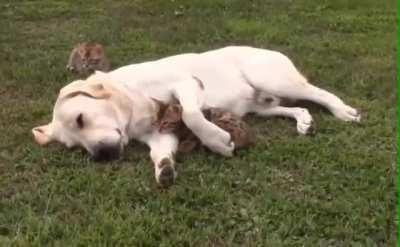 “Dis my spot now!”