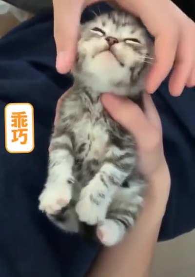 Look at them happy toes.